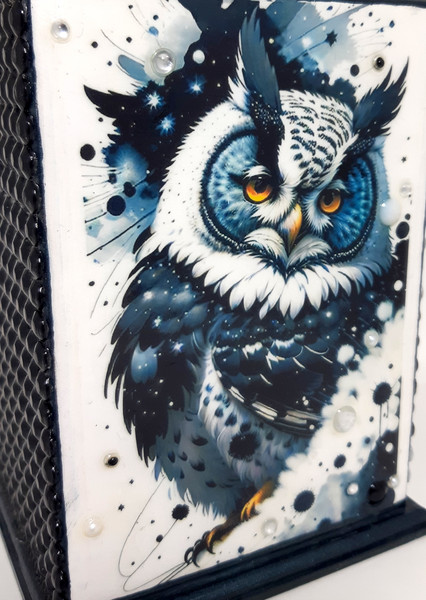 Stylish pencil case with an owl (9).jpg