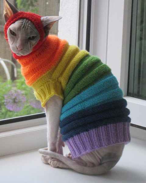 Wool Cat Clothes Wool Sphynx Clothes Wool Sphynx Sweater 
