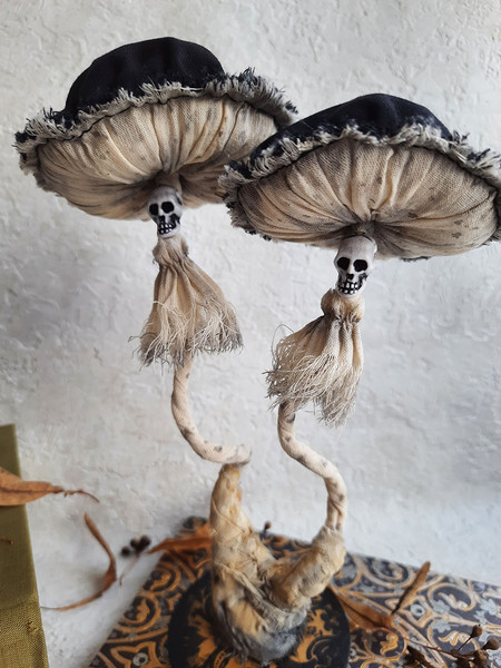 2 black skull mushroom