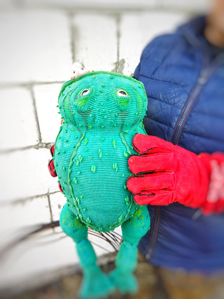 Emerald green frog amigurumi. Life size Goliath frog. Animal - Inspire  Uplift