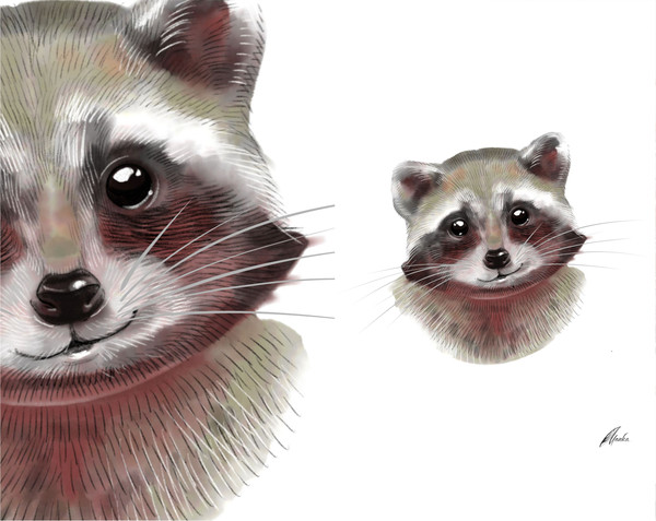 Raccoon-head-clipart-large-picture