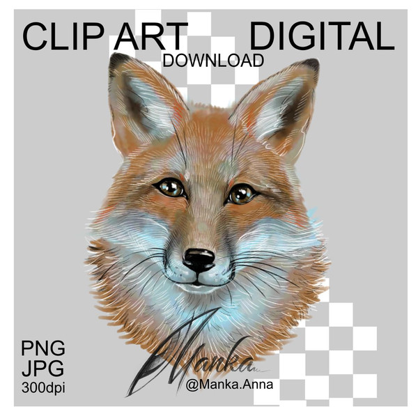 Fox-drawing-png-clipart-cute