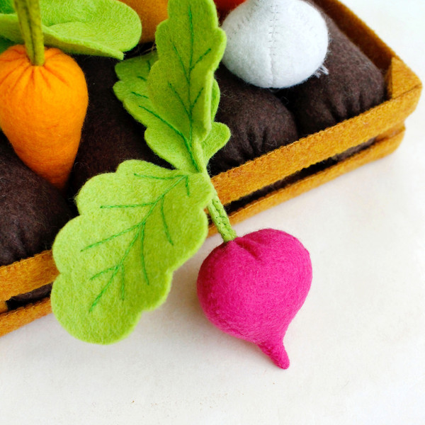 Felt radish and vegetable garden