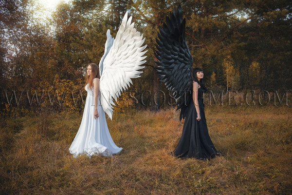 large angel wings 10.jpg