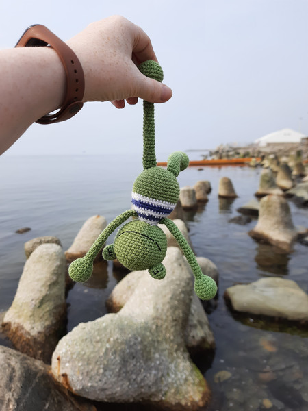 Amigurumi Frog Crochet Pattern.jpg