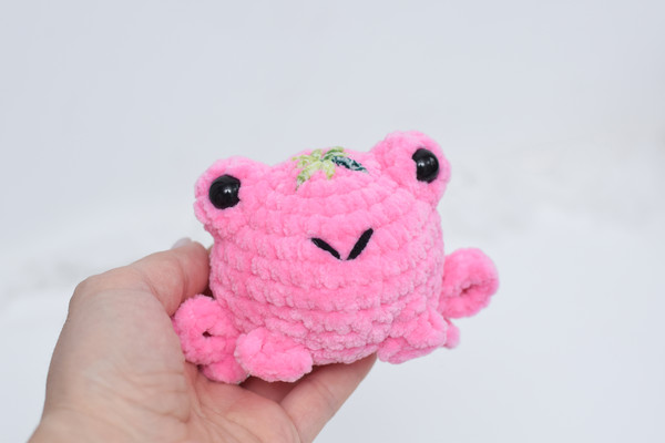 strawberry pink frog