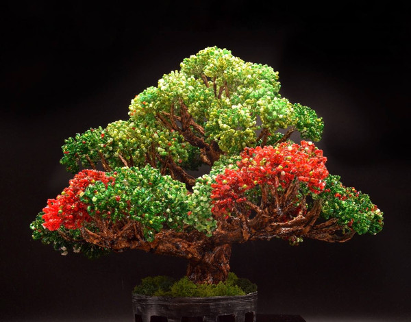 Bonsai Tree in Red Planter · Creative Fabrica
