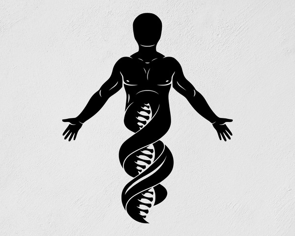 Helix Dna DNA Code Body Chromosome Sticker Popular