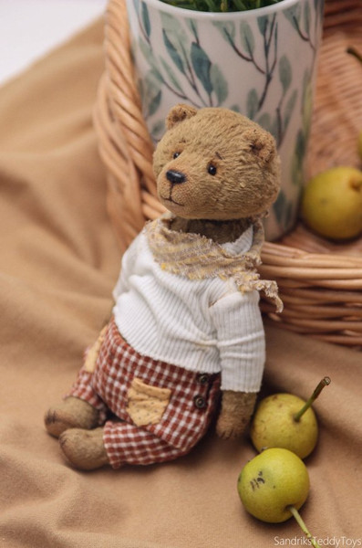 stuffed-animal-teddy-bear-caspar (1).jpg