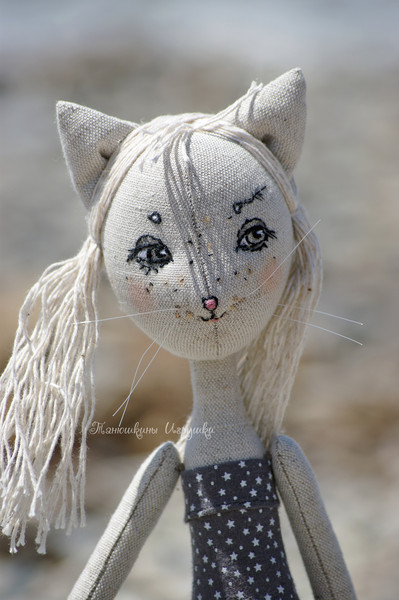 How to embroider doll cats face