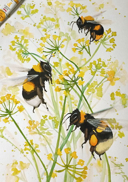 Watercolor original 8x11 inch bumble bee painting insect by