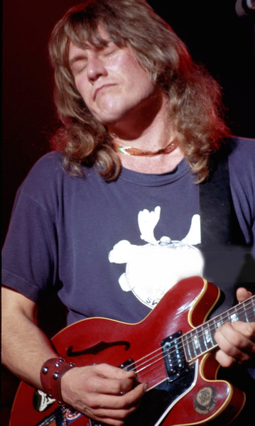 alvin lee guitar old stickers decal .jpg