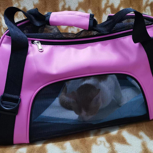 Perfect Cat Carrier Pouch Bag - Inspire Uplift