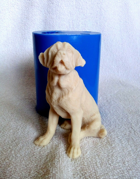 St. Bernard dog - silicone mold - Inspire Uplift