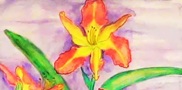 yellow-pink lilies 5.jpg