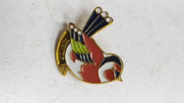 USSR bird metal badge, rare badge, collectible, decoration, vintage decoration.jpg