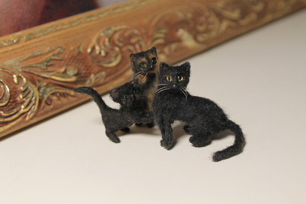 A family of black cats