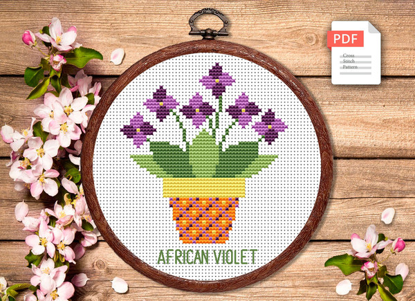 flw003-African-Violet-A1.jpg
