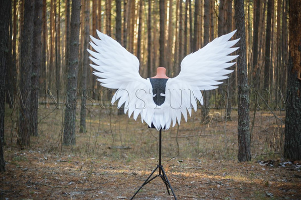 white angel mini3.jpg