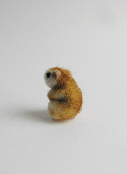 miniature-hamster