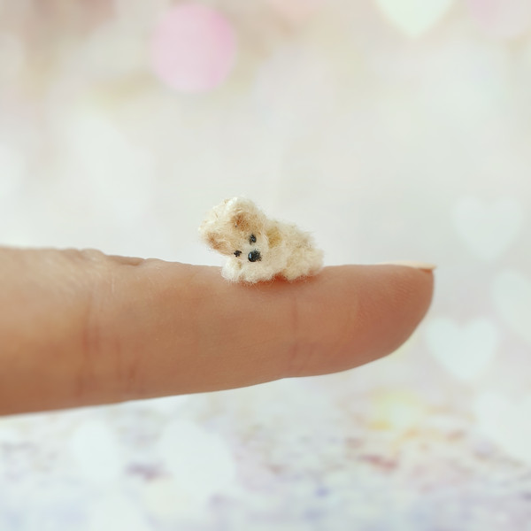micro-teddy-bear1.jpeg