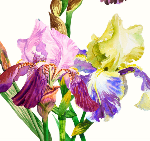 Bouquet with  three irises.Cover_2.jpg