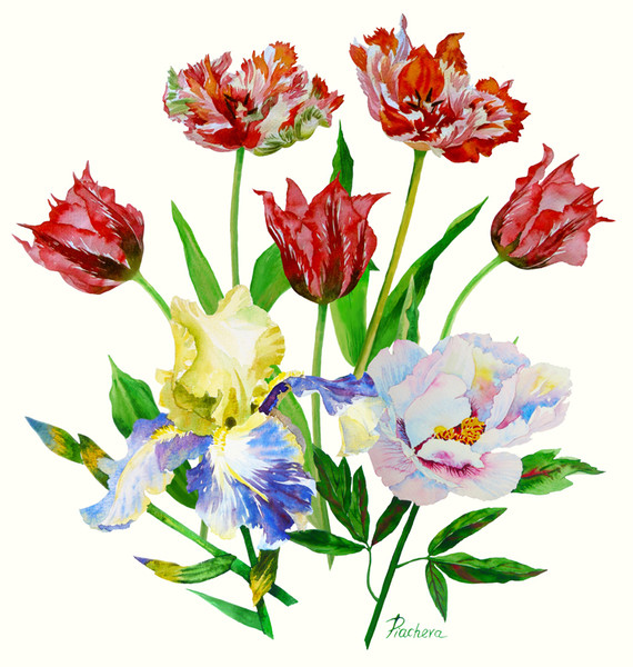 Bouquet with tulips, iris and peony_cover_1.jpg