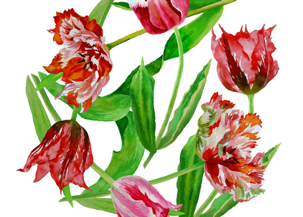 Poster with  tulips4-01 A4 size_3.jpg