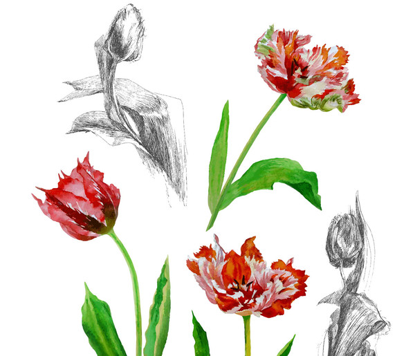 Poster with tulips2-01 A4 size_2.jpg