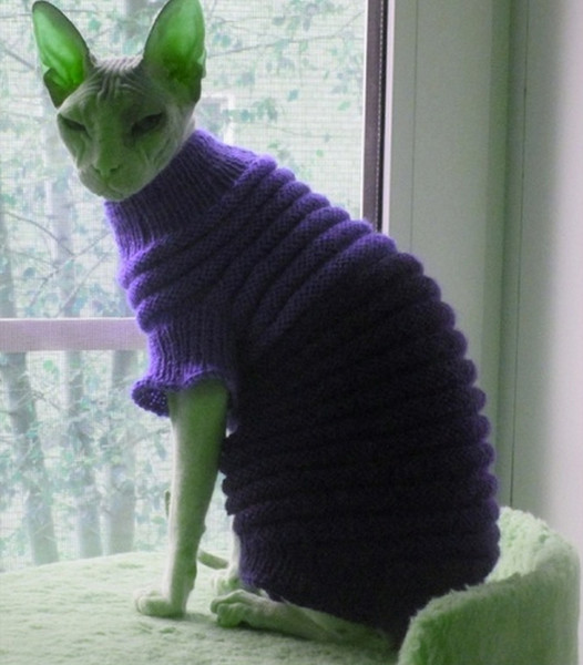 cat clothes, cat sweater, sphynx clothes, sphynx sweater, wa - Inspire  Uplift