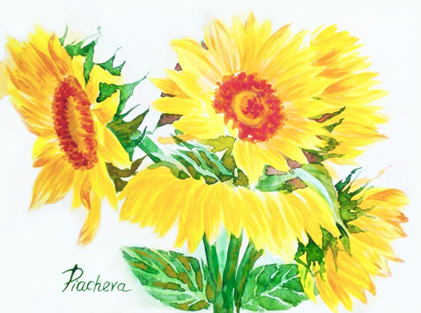 Yellow Sunflowers 3.jpg