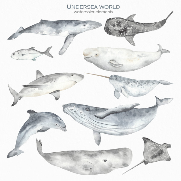 2-1 Underwater world watercolor blue cover.jpg