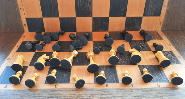 ryazan_chessmen8.jpg