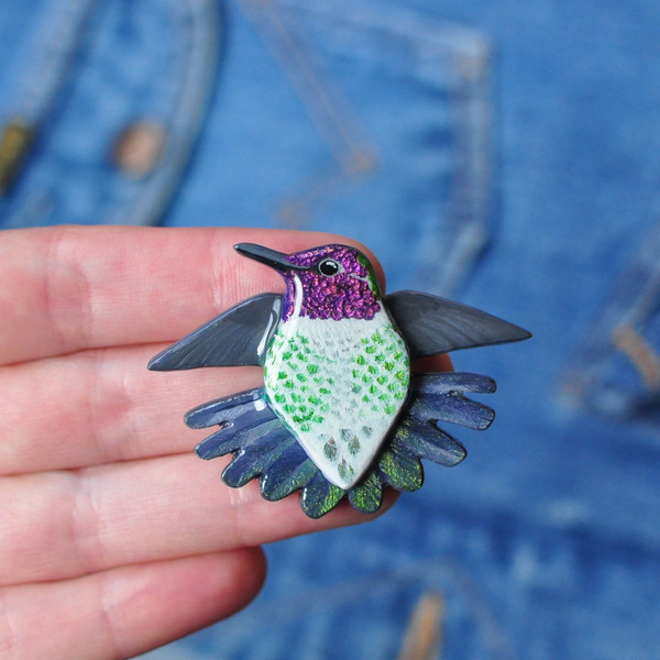 annas-hummingbird-stretching-2.jpg