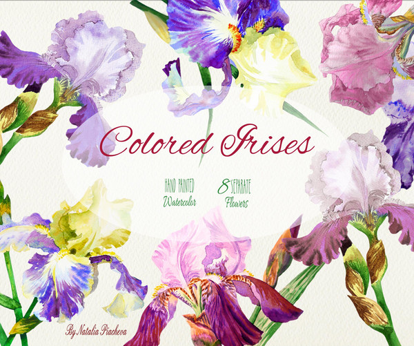 Colored Irises_cover_1_1.jpg