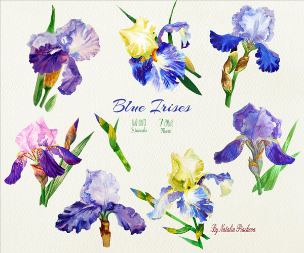 Blue Irises_cover_2_CM.jpg