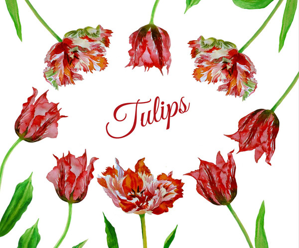 Digital clipart with tulips_cover_1_1.jpg