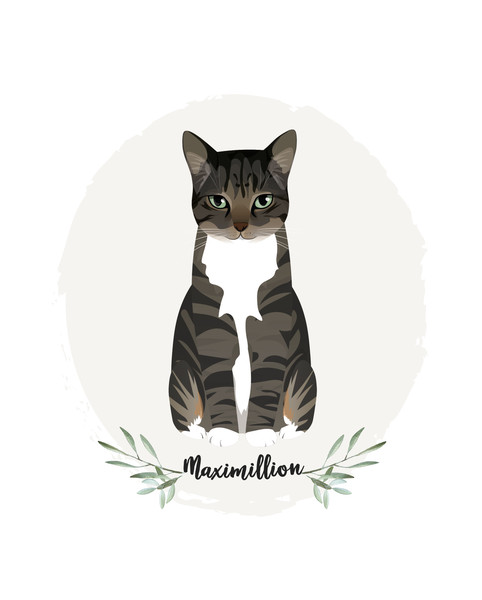 Custom-pet-Portrait-cat-illustration-8.jpg