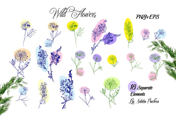 Wild Flowers Clipart with Summer Flowers 2.jpg