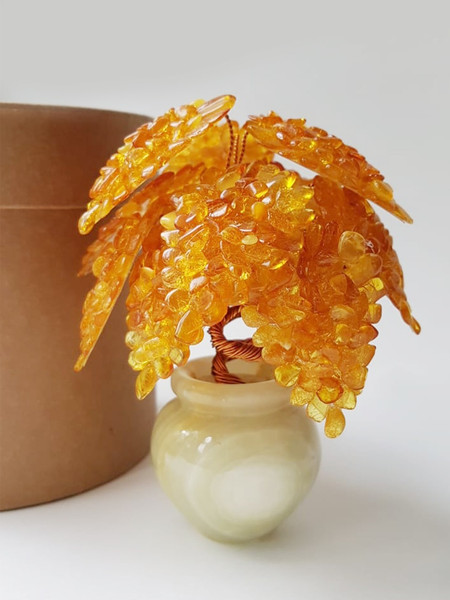 Amber-wood-in-an-onyx-vase.jpg