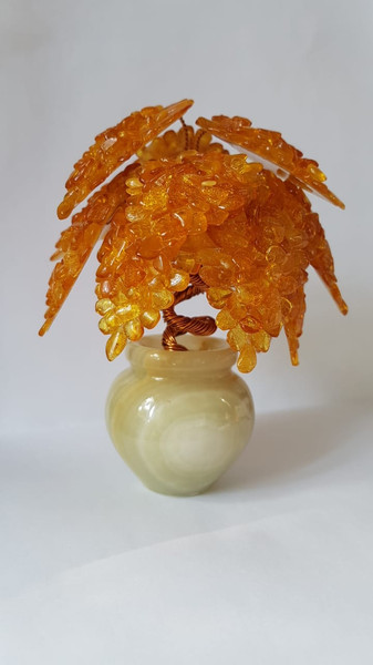 a-small-tree-in-a-vase.jpg