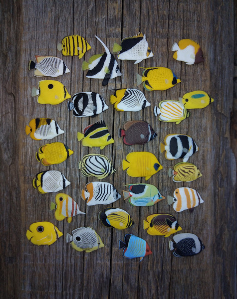 miniature-clay-butterflyfish-1.jpg