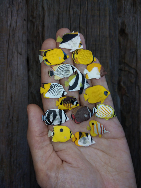 collectible-miniature-fish-1.jpg