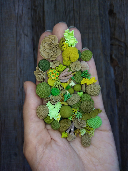 miniature-corals-1.jpg