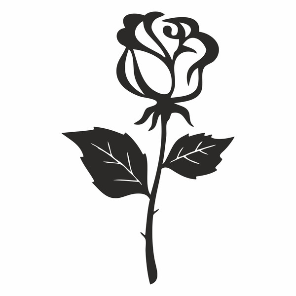 black roses3.jpg