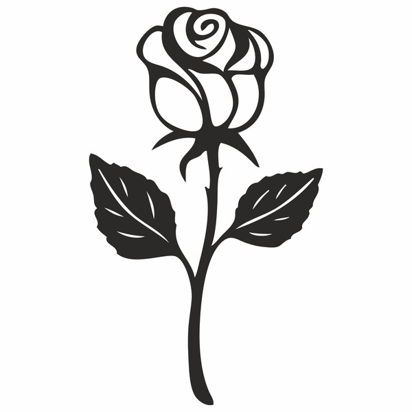 black roses4.jpg