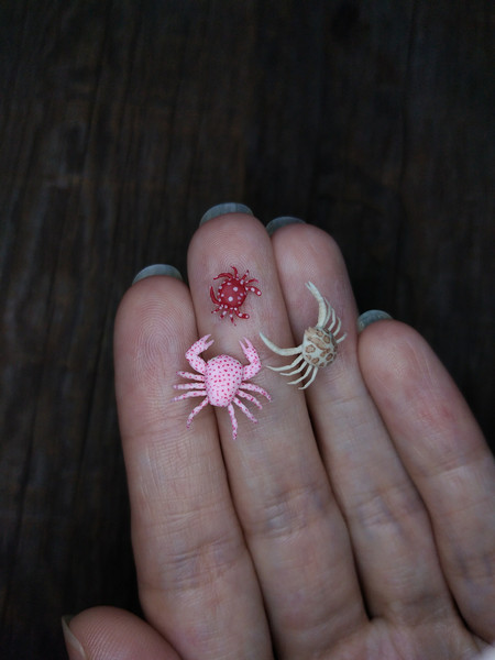 miniature-crabs-1.jpg