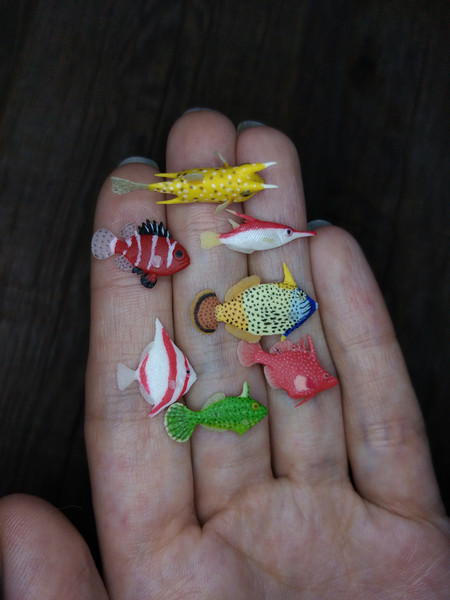 miniature-bizarre-sea-fish-1.jpg