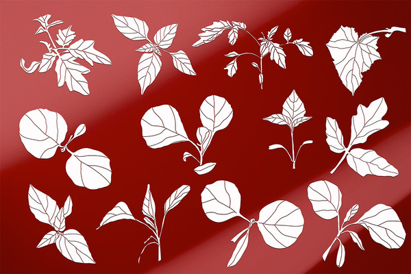 Set of plant silhouettes card cover 1.jpg