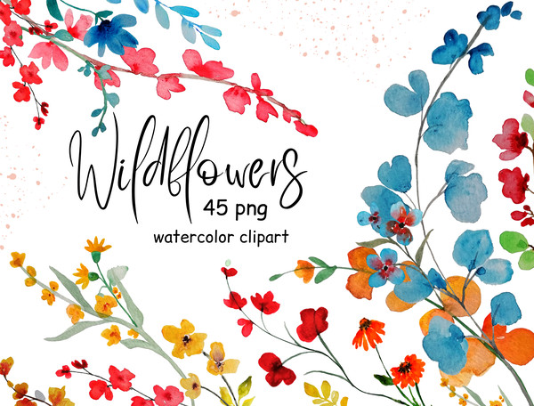Wildflowers.png